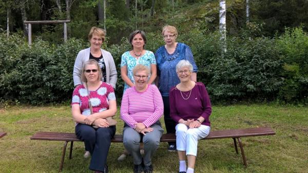 MIKKELIN VALKONAUHAN HALLITUS 2017